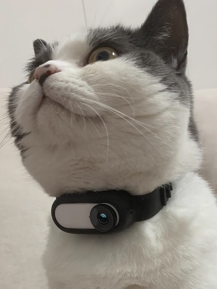 Pet Collar Camera for Cats & Dogs Pet Supplies Cat And Dog Collar Camera I | Ectron Online