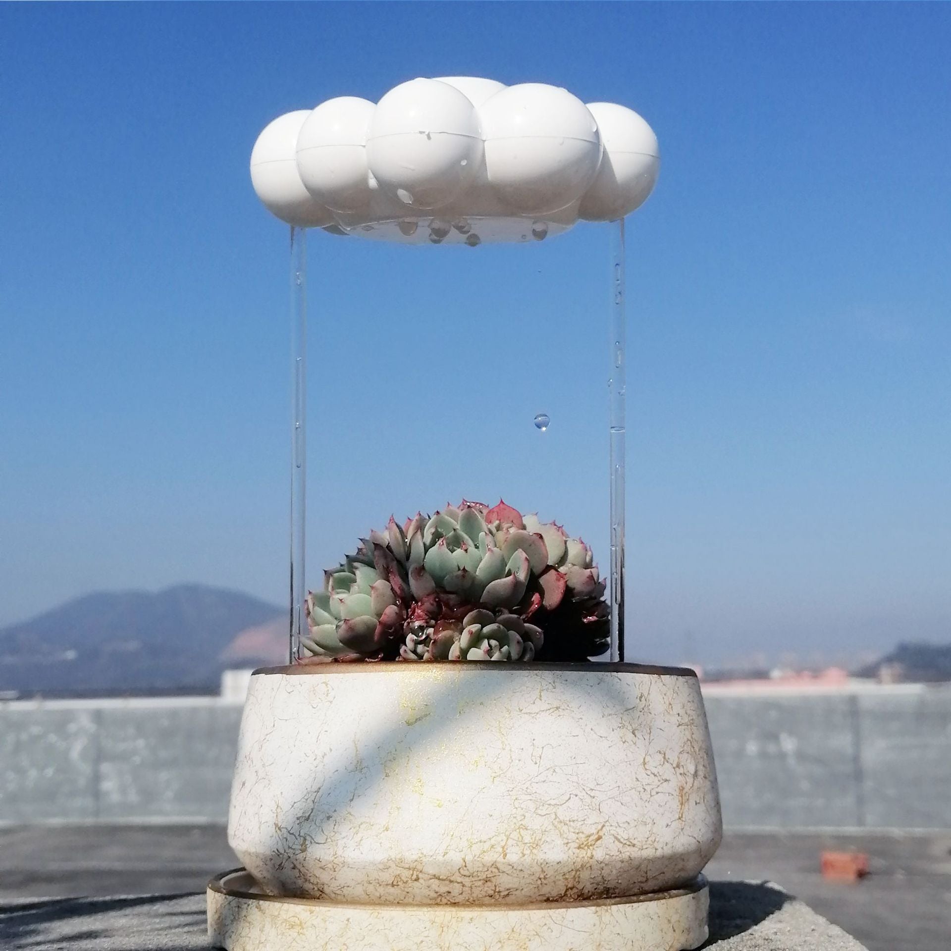 Garden Watering Tool | Simulate Rain with the Rain Cloud Garden Plant Watering Rain Cloud Irrigator | Ectron Online