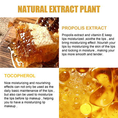 EELHOE Honey Lip Mask - Moisturizing & Exfoliating Lip Sleep Mask EELHOE Honey Lip Mask Moisturizing Exfol | Ectron Online