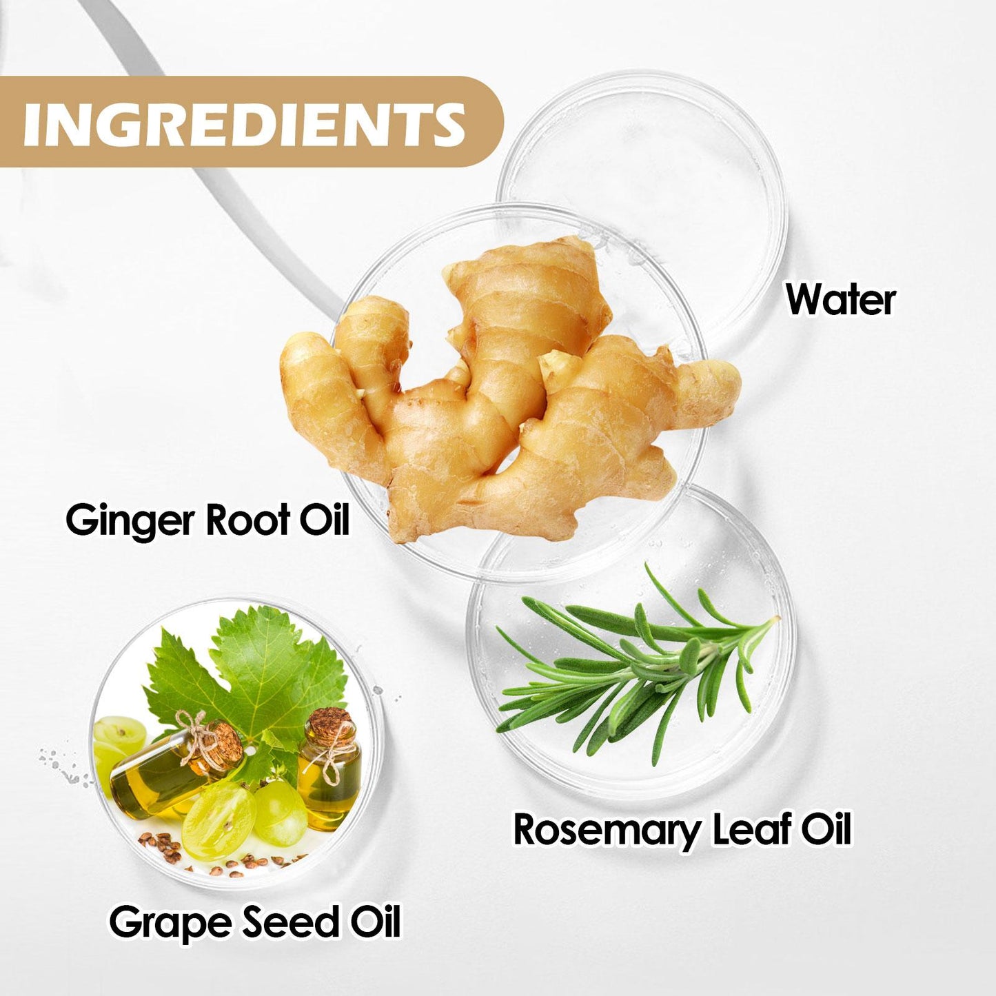 EELHOE Beard Care Oil - Growth Serum for Nourished & Shiny Beards