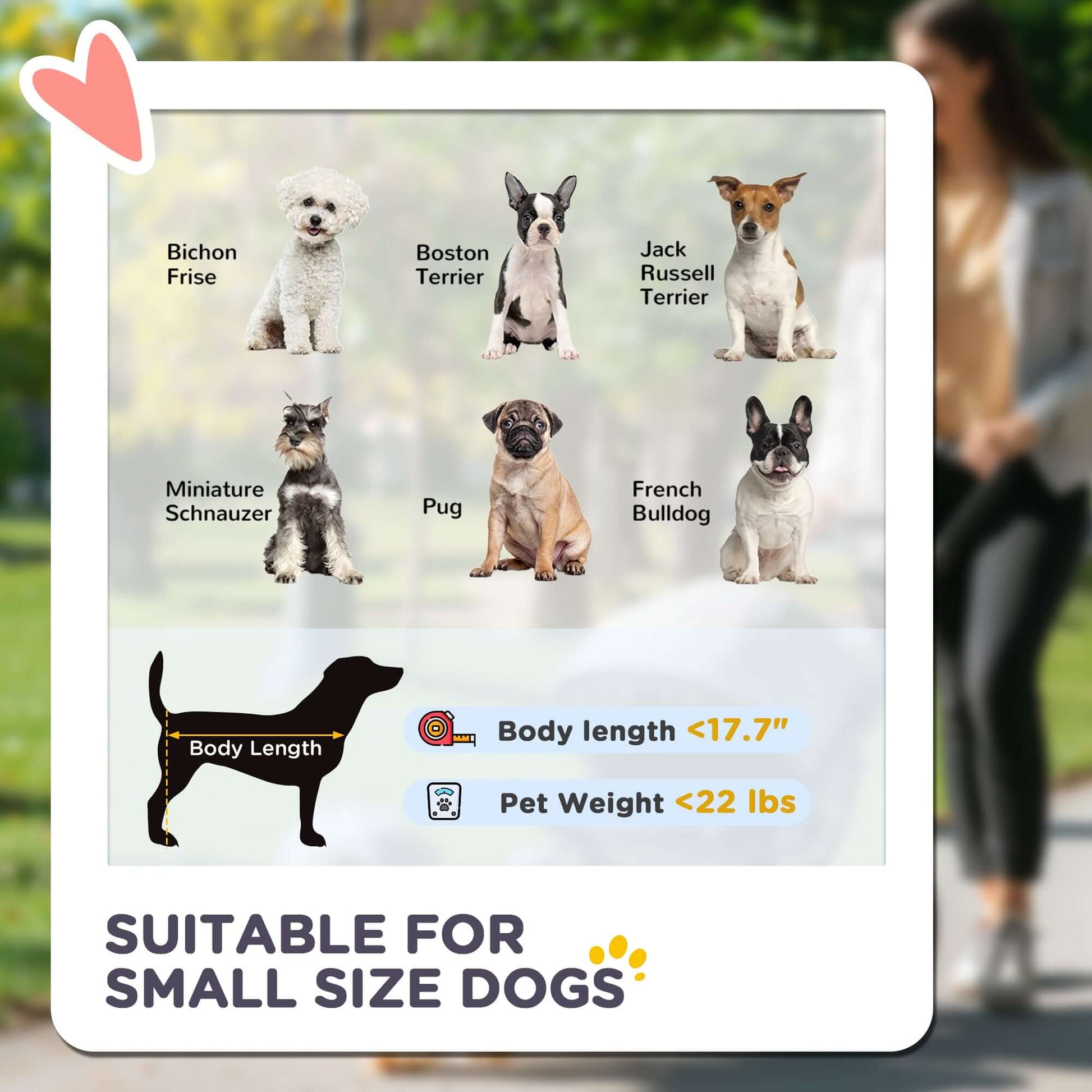 3-in-1 Dog Stroller with Detachable Cabin 3 In 1 Dog Stroller With Detachable Cabi | Ectron Online