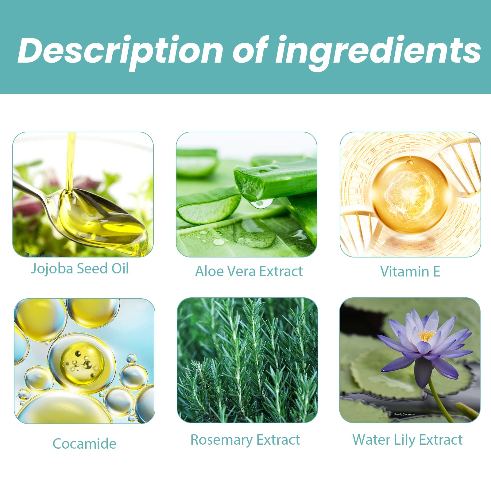 EELHOE Shower Oil - Moisturizing Body Cleanser & Skin Repair