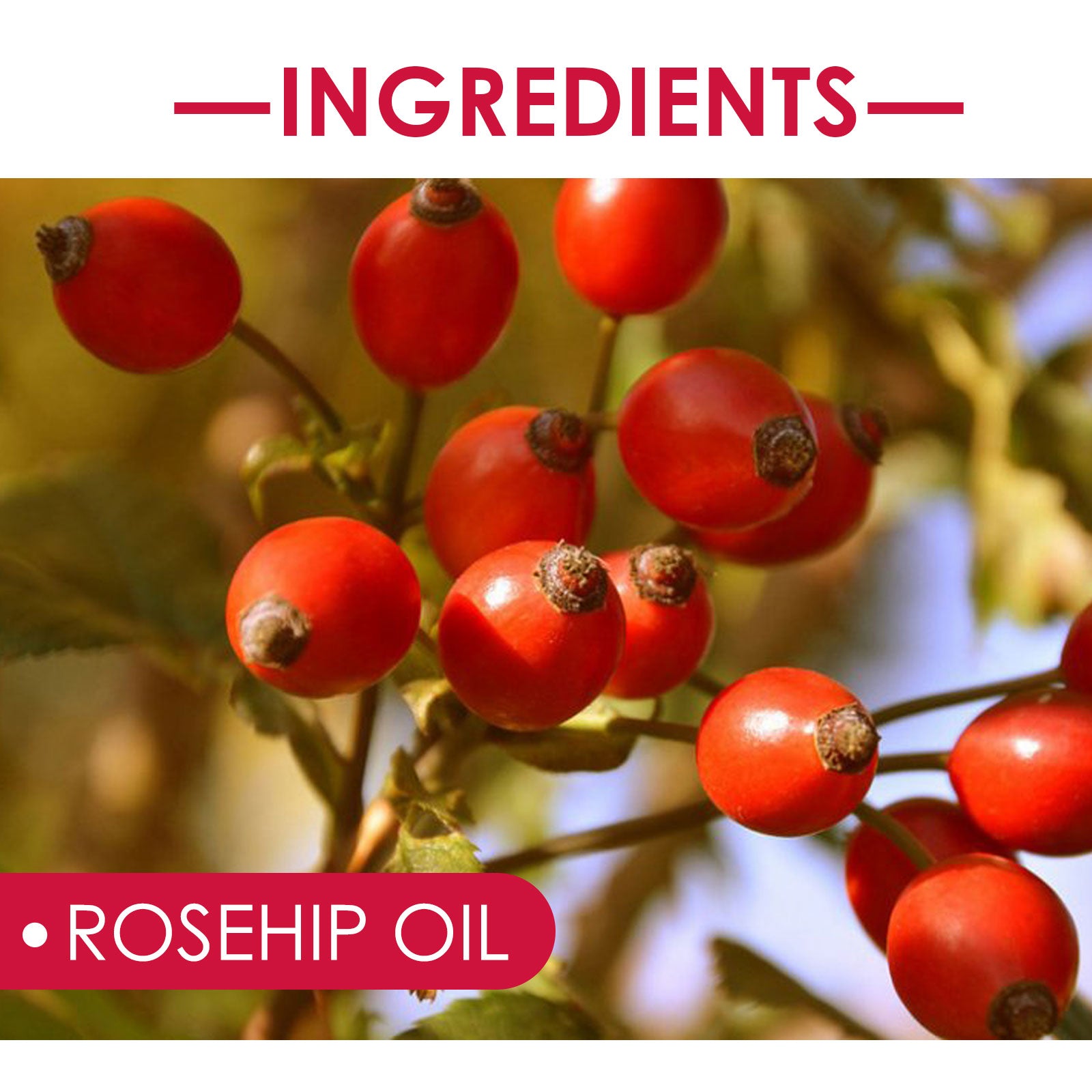 EELHOE Rosehip Facial Oil - Multi-Use Body, Hair & Massage Serum