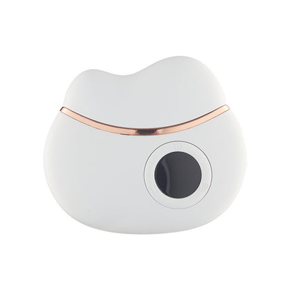 Smart Electric Gua Sha Scraping Massager Home Facial
