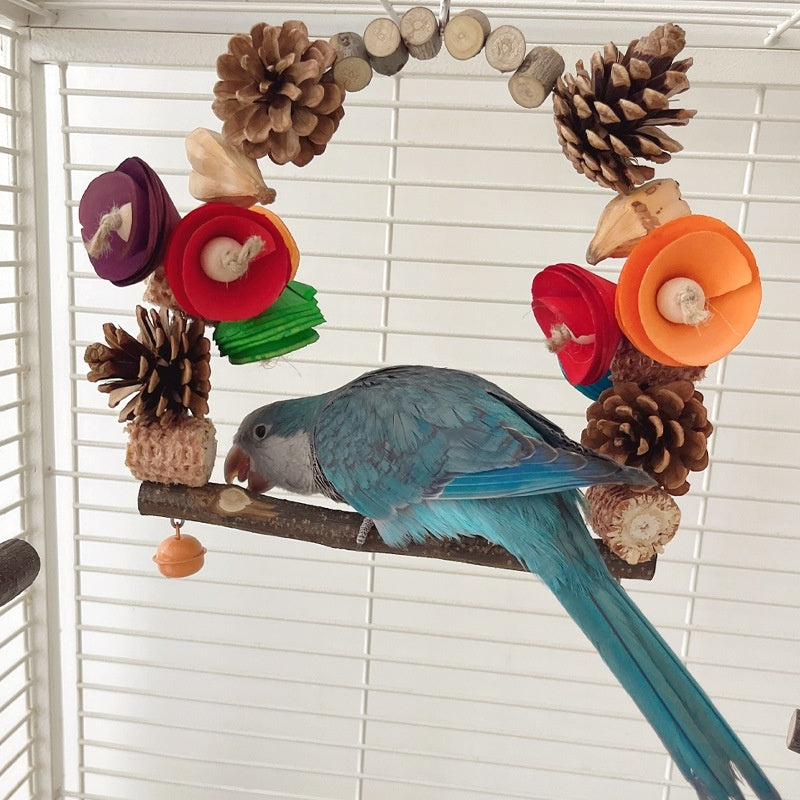 Parrot Swing Pine Nut Grinding Mouth Grinding Claw Log Bird Stand Rod Color Decoration