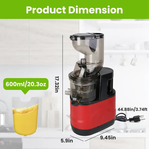 300W Cold Press Juicer - Slow Masticating Machine for Whole Fruits & Vegetables
