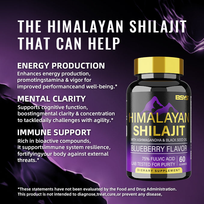 BSYS 8-in-1 Shilajit Gummies (60 Count) - Natural Vitality & Energy Boost