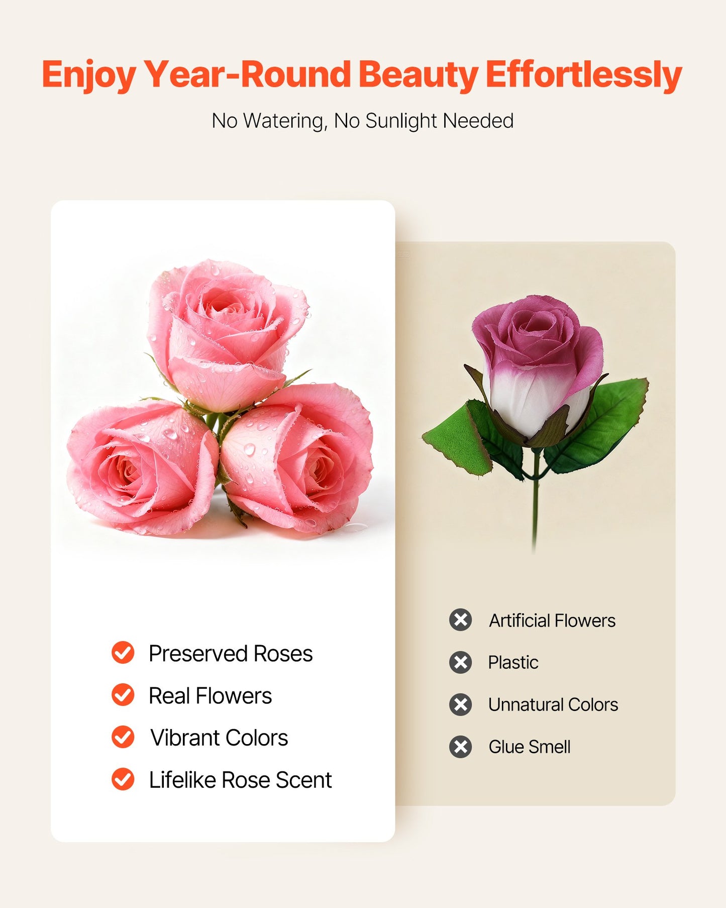 27 Real Preserved Roses in Heart-Shaped Box