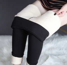 Add Velvet Padded Glossy Lambswool Leggings