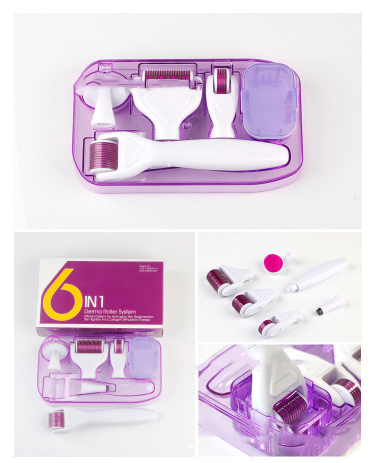 DermaKit™ 6-in-1 Derma Roller Kit for Facial Microneedling & Skin Care Facial Skin Care Tools Gift Set | Ectron Online