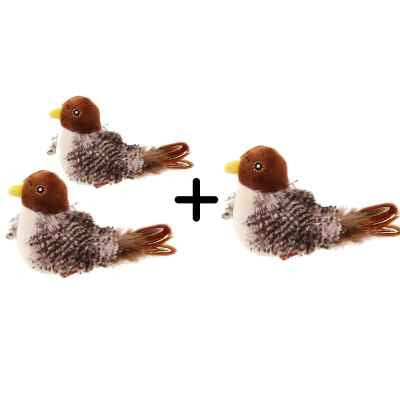 Simulation of Bird & Mouse Electric Molars Simulation Of Bird And Mouse Electric Mo | Ectron Online