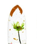 Minfei Jelly Lipstick – Gold Foil & Flower, Colour-Changing Minfei transparent gold foil temperature | Ectron Online