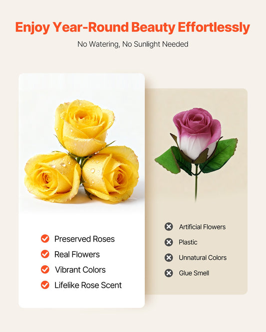 27 Real Preserved Roses in Heart-Shaped Box