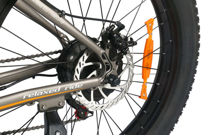 Front wheel and disc brake assembly on electric fat-tire e-bike