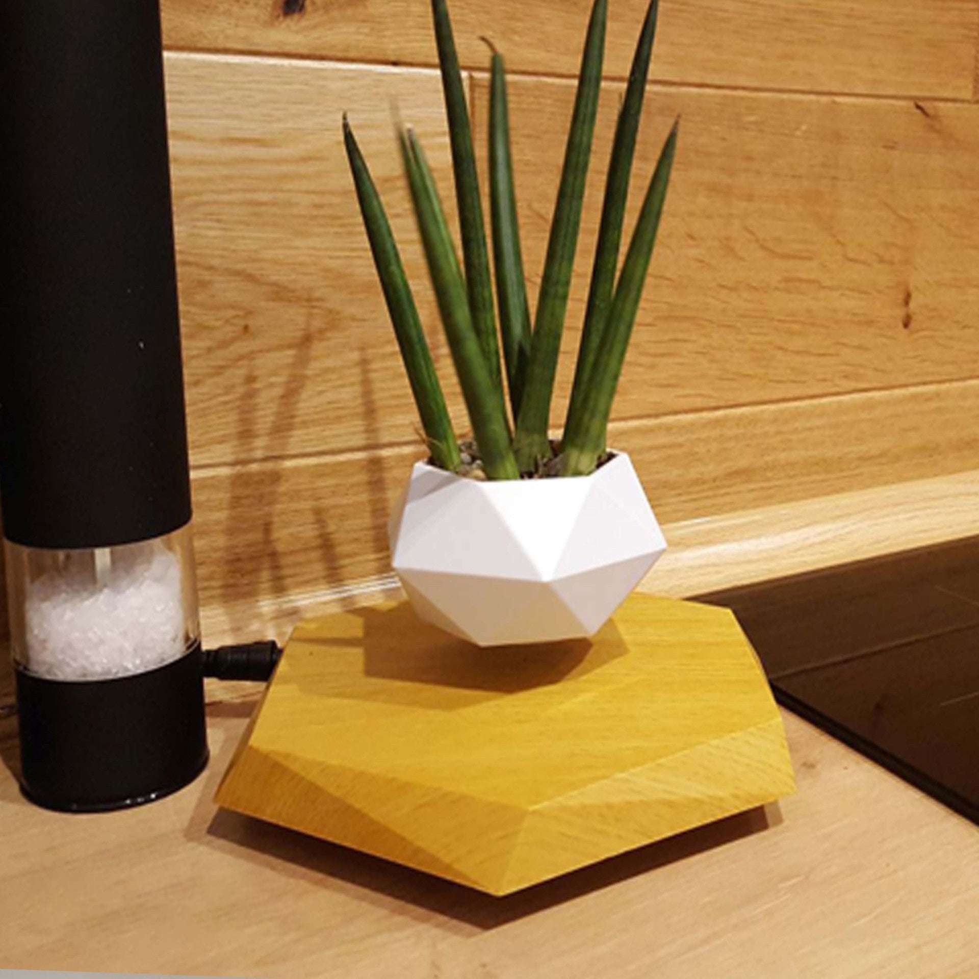 Floating Magnetic Levitating Flower Pot | Home Decor Gift Floating Magnetic Levitating Flower Pot Bonsai Air Plant Pot Planter Potted For Home Office Desk Decor Creative Gift | Ectron Online