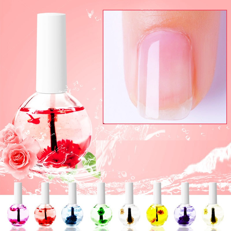 Dried Flower Nail Nutrition Oil - Anti-Agnail & Edge Moisturizing Coat