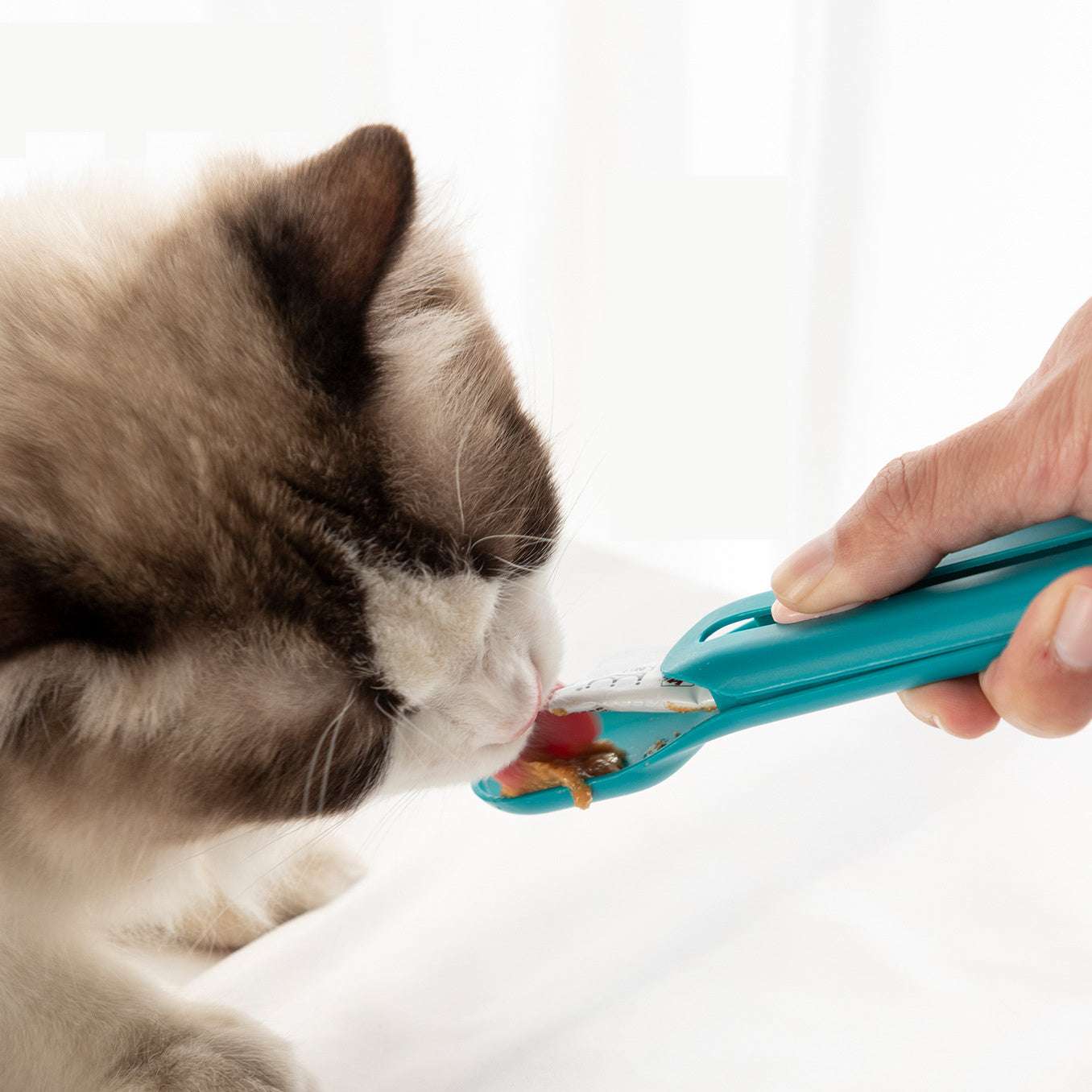 A plastic pet feeding spoon with a blue handle being used to scoop pet food from a bowl, with a cat licking the spoon.