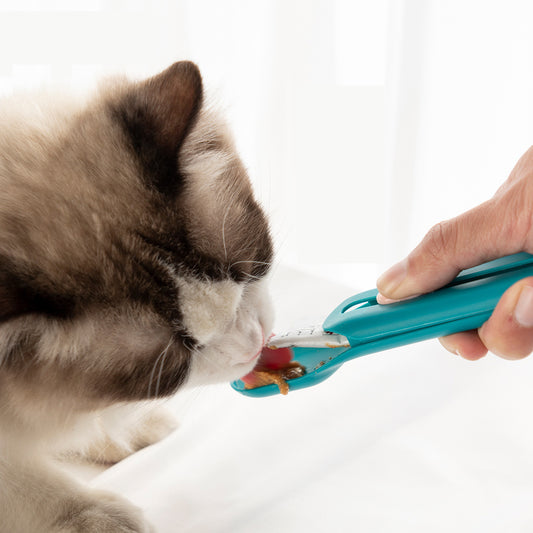 A plastic pet feeding spoon with a blue handle being used to scoop pet food from a bowl, with a cat licking the spoon.
