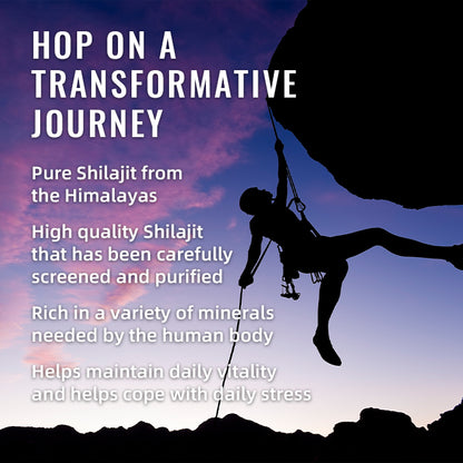 BSYS 8-in-1 Shilajit Gummies (60 Count) - Natural Vitality & Energy Boost BSYS SHILAJIT GUMMIES 60'S | Ectron Online