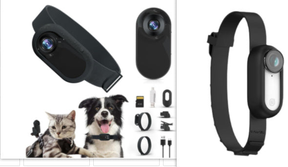 Pet Collar Camera for Cats & Dogs Pet Supplies Cat And Dog Collar Camera I | Ectron Online