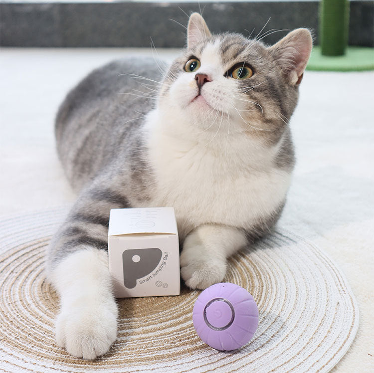 Interactive Pet Toy with Three Modes - Intelligent Rolling Ball for Cats and Dogs, Durable, Bouncy and Self-Entertaining