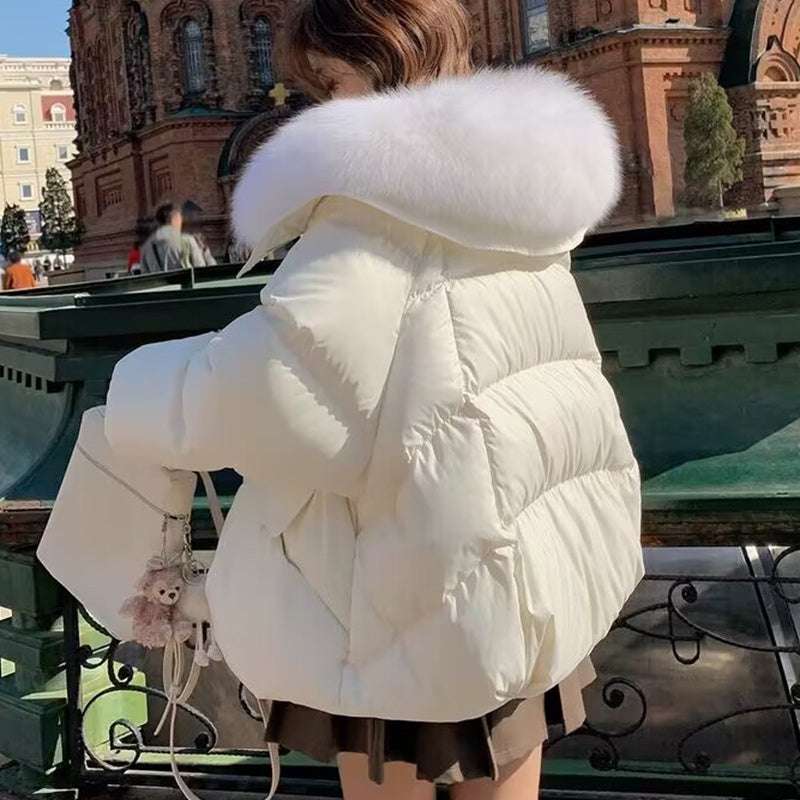 Women's Short Fur Collar Winter Jacket Down Cotton-padded Jacket Women's Short | Ectron Online