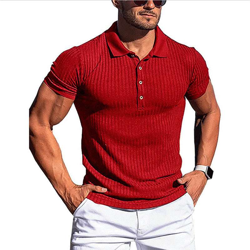 Men’s Slim Fit Polo – Mercerised Cotton Short Sleeve T-Shirt T-shirt Slim Short-sleeved Mercerized Co | Ectron Online