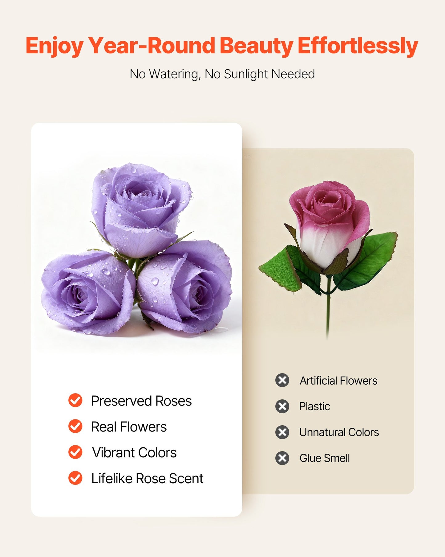 50 Real Preserved Roses in a Box