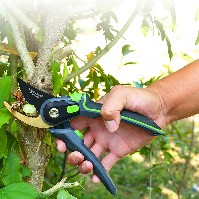 Flower shears garden shears