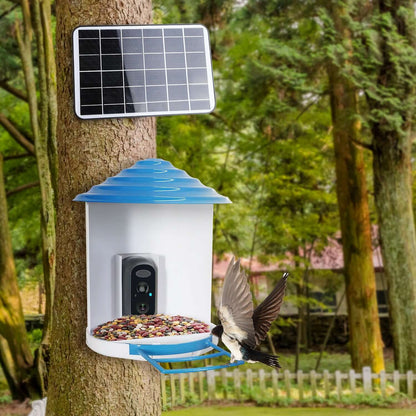 White and blue solar bird feeder with camera mounted on a tree, holding bird food.