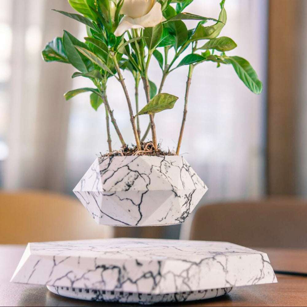 Floating Magnetic Levitating Flower Pot | Home Decor Gift Floating Magnetic Levitating Flower Pot Bonsai Air Plant Pot Planter Potted For Home Office Desk Decor Creative Gift | Ectron Online