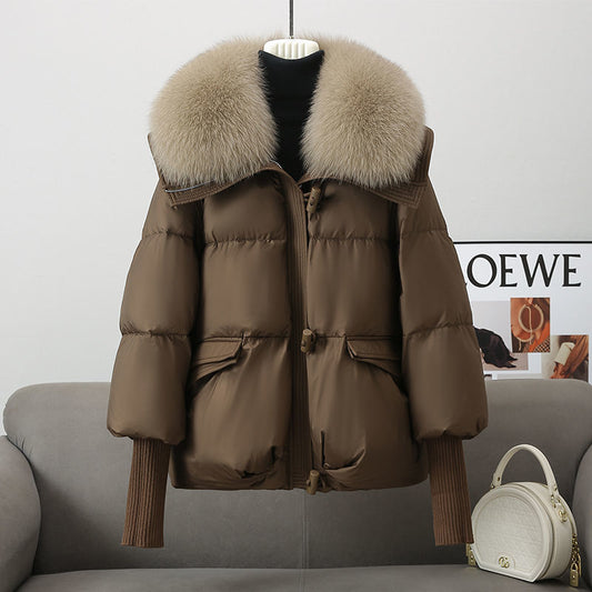 Women's Short Fur Collar Winter Jacket Down Cotton-padded Jacket Women's Short | Ectron Online