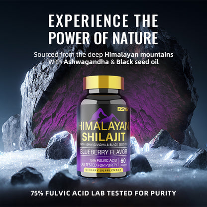 BSYS 8-in-1 Shilajit Gummies (60 Count) - Natural Vitality & Energy Boost BSYS SHILAJIT GUMMIES 60'S | Ectron Online