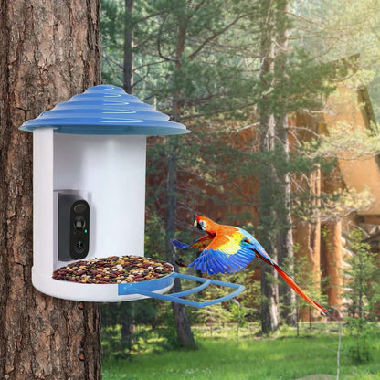 White and blue solar bird feeder with camera and feed tray on a tree, with a bird.