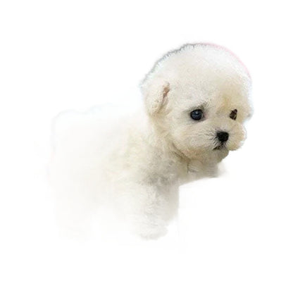 Robot Puppy Short Plush Doll Robot Puppy Short Plush Doll | Ectron Online