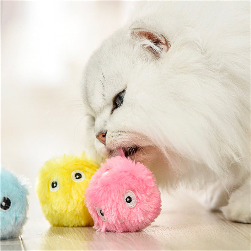 Kitty Calling Ball Toy - Light-up, Catnip Teasing Ball for Cats & Dogs Kitty Calling Ball Toy Light-emitting Ca | Ectron Online