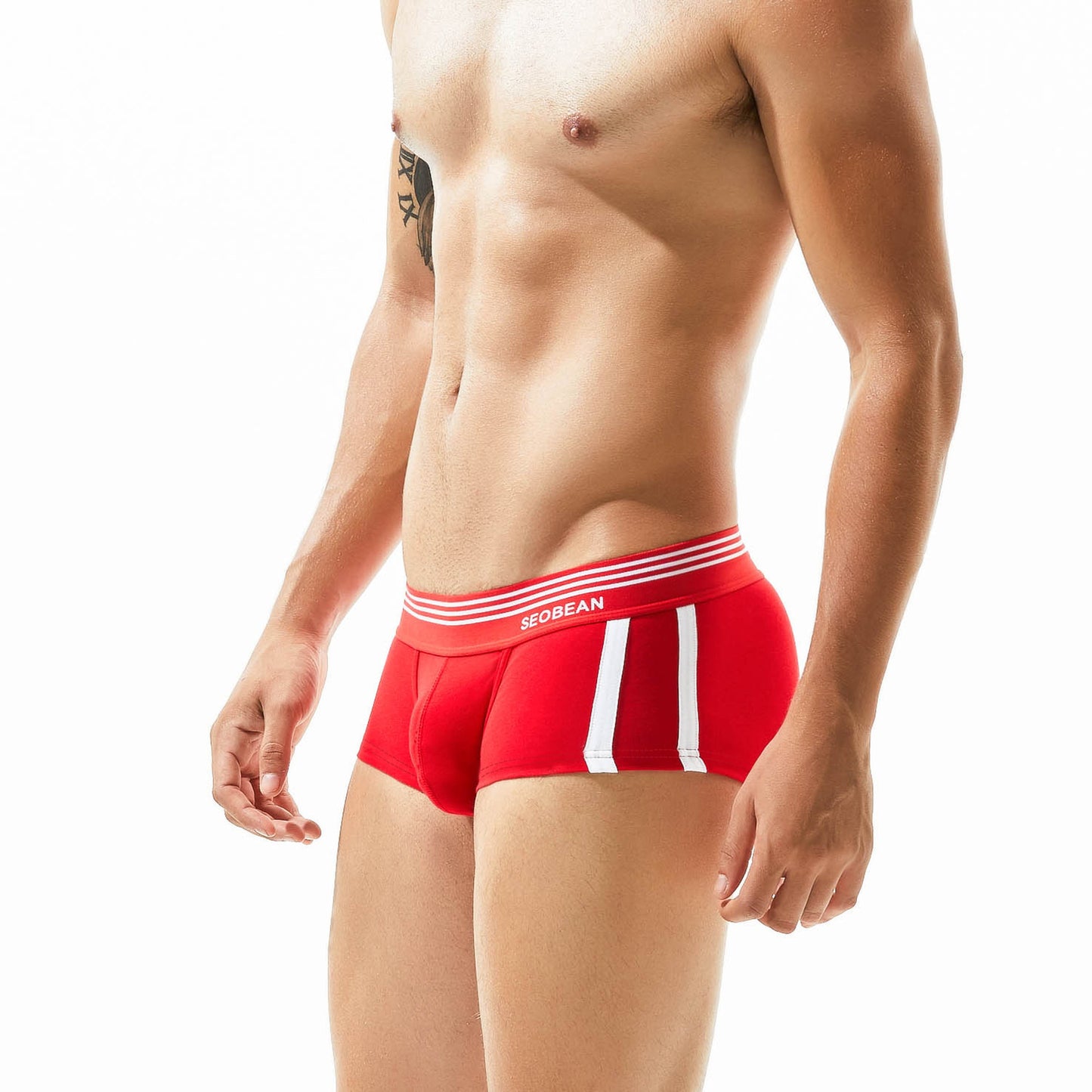 Men's Underwear Low Waist Cotton Boxer Briefs