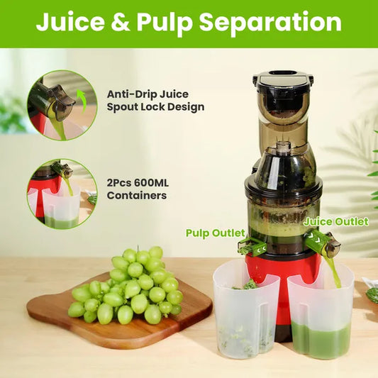300W Cold Press Juicer - Slow Masticating Machine for Whole Fruits & Vegetables