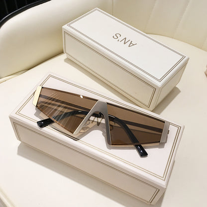 Hip Hop Sunglasses Sunglasses | Ectron Online