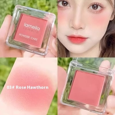 Lameila Powder Cake in Rose Hawthorn shade with close-up of application on skin.