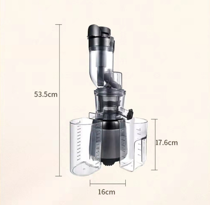 Juicing With Multi-function Separator