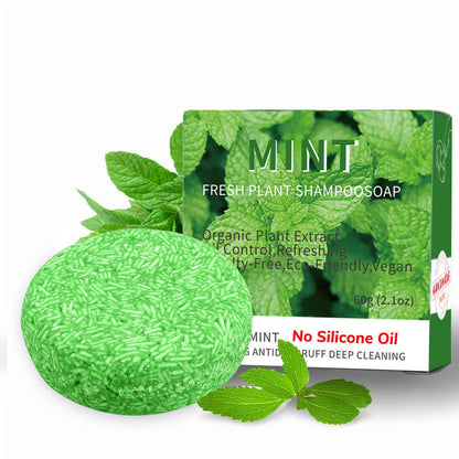 Green shampoo bar with packaging featuring mint leaves on a white background