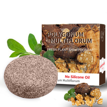 Shampoo bar with Polygonum Multiflorum and packaging on a white background
