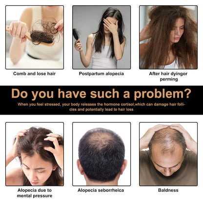 Illustration of hair issues including combing and losing hair, postpartum alopecia, hair dyeing and perming, alopecia due to mental pressure, alopecia seborrheica, and baldness.